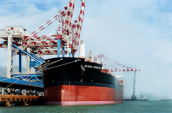 海运货代软件助物流输送